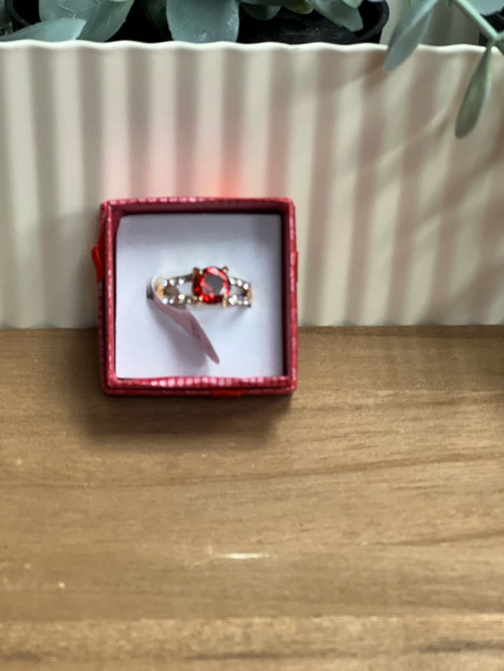 Red Gemstone Halo CZ Ring